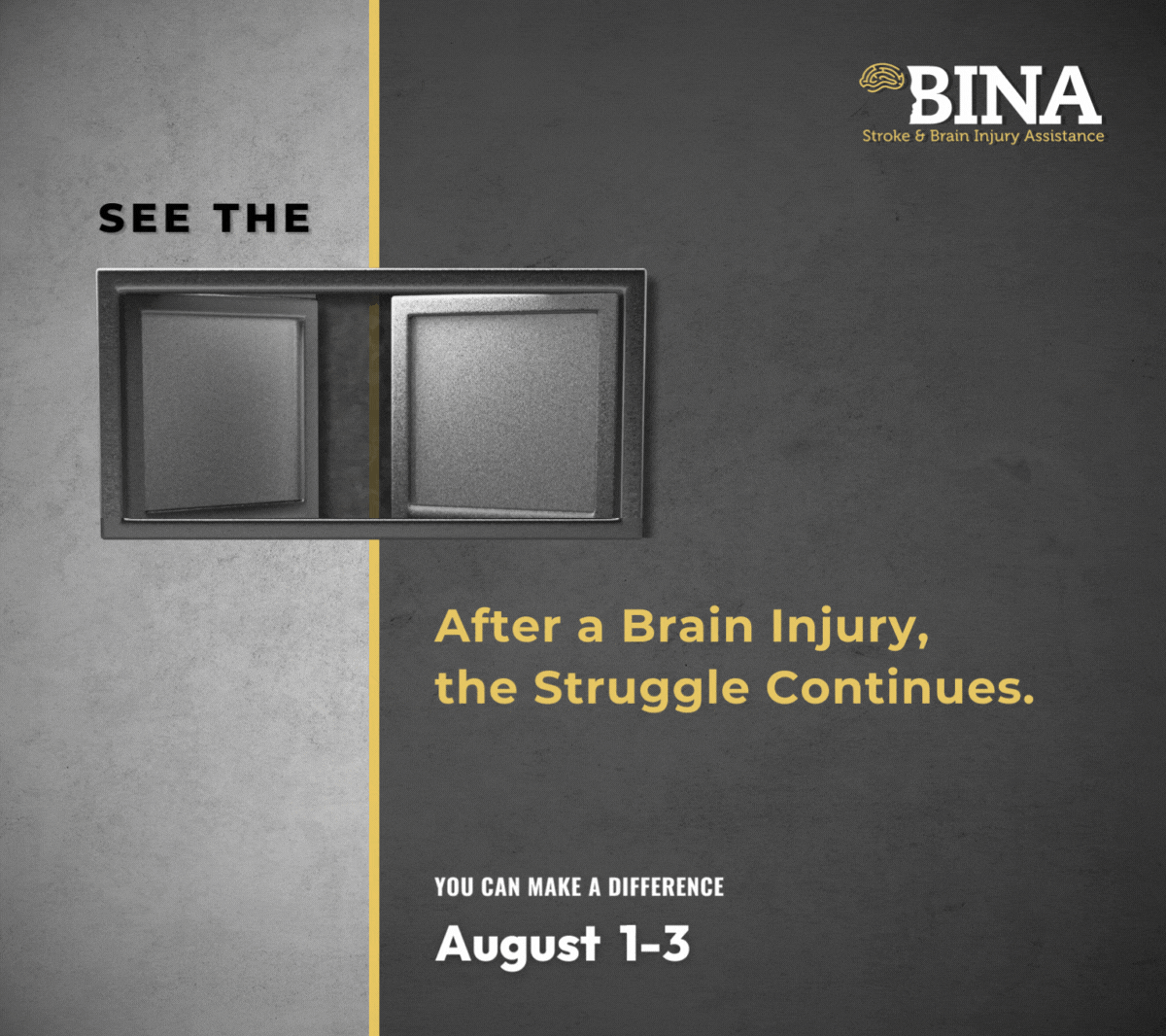 BINA