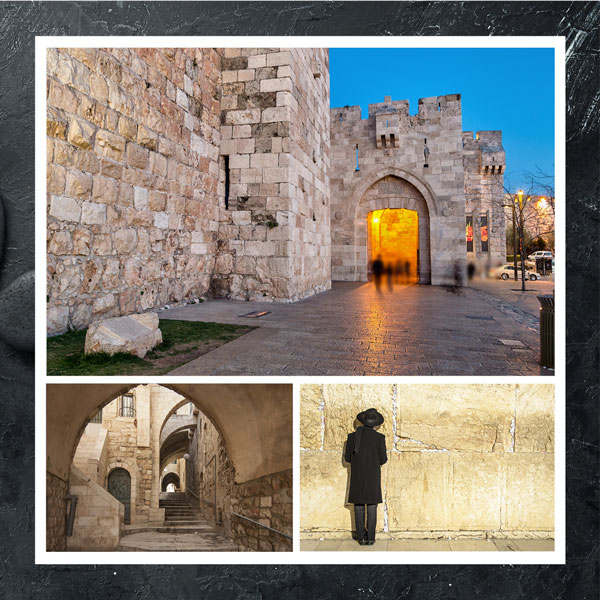Chasdei Chashi L'Kallah Auction