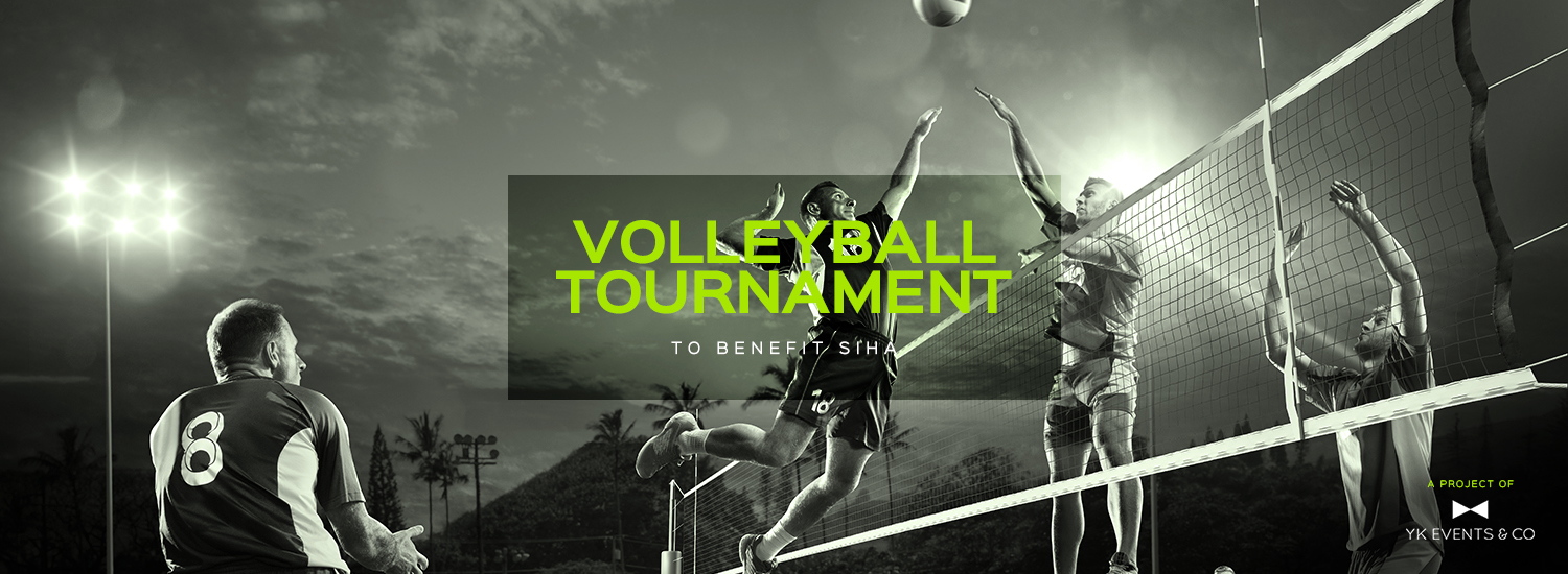 Night at the net 2019