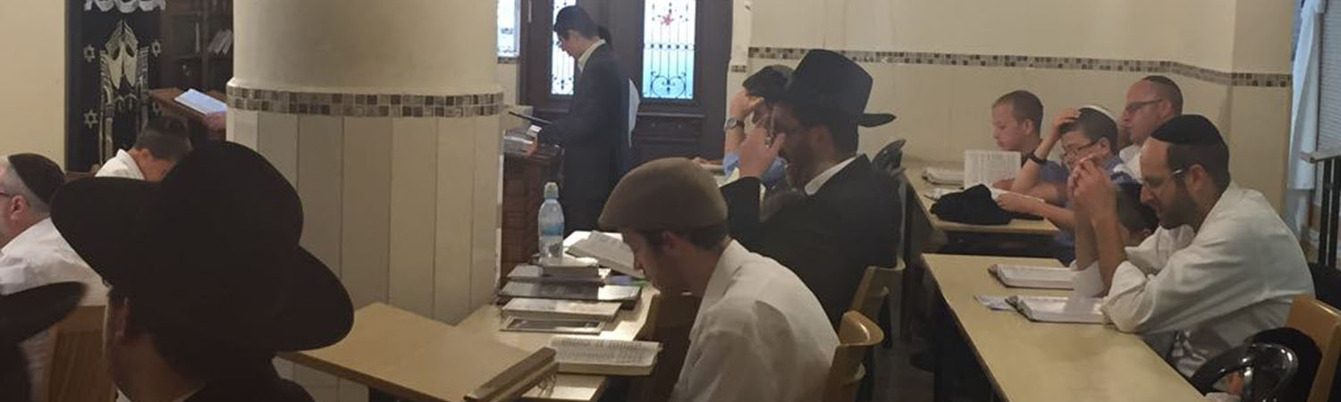 Purim Campaign